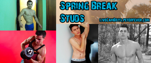 spring-break-studs